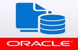 Oracle数据库管理工具有哪些?-北京让娱乐更有趣！公司